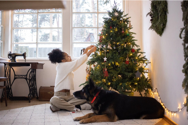 Christmas in July Sales with Pet-Friendly Christmas Wreaths